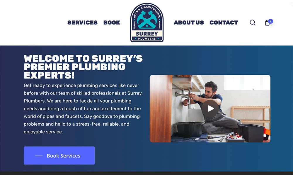 Web Design For Plumbers - Acozz Design Example