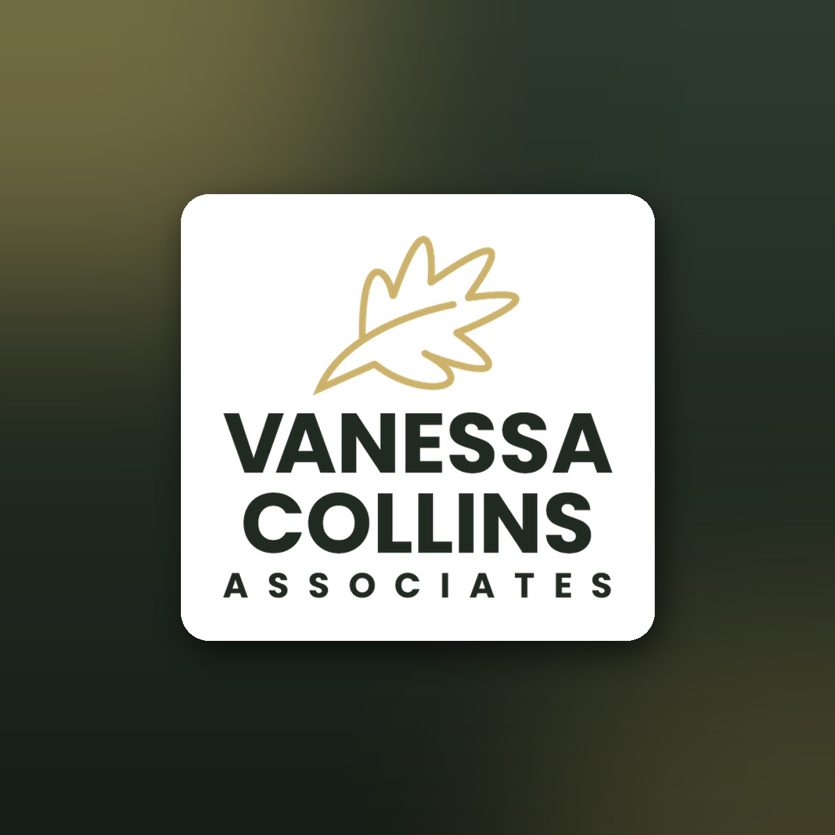 Vanessa Collins Associates
